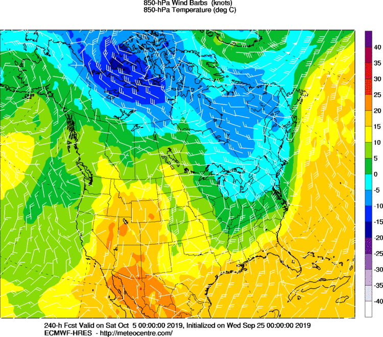Temperature and Wind Barbs